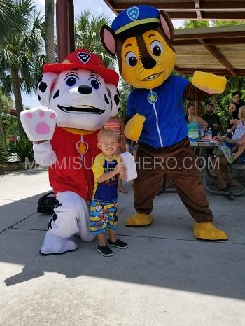 Paw Patrol Character Chase Police