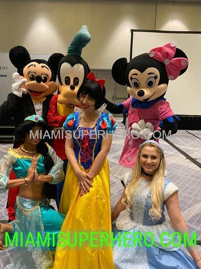 Minnie mouse costume hot sale character for birthday party